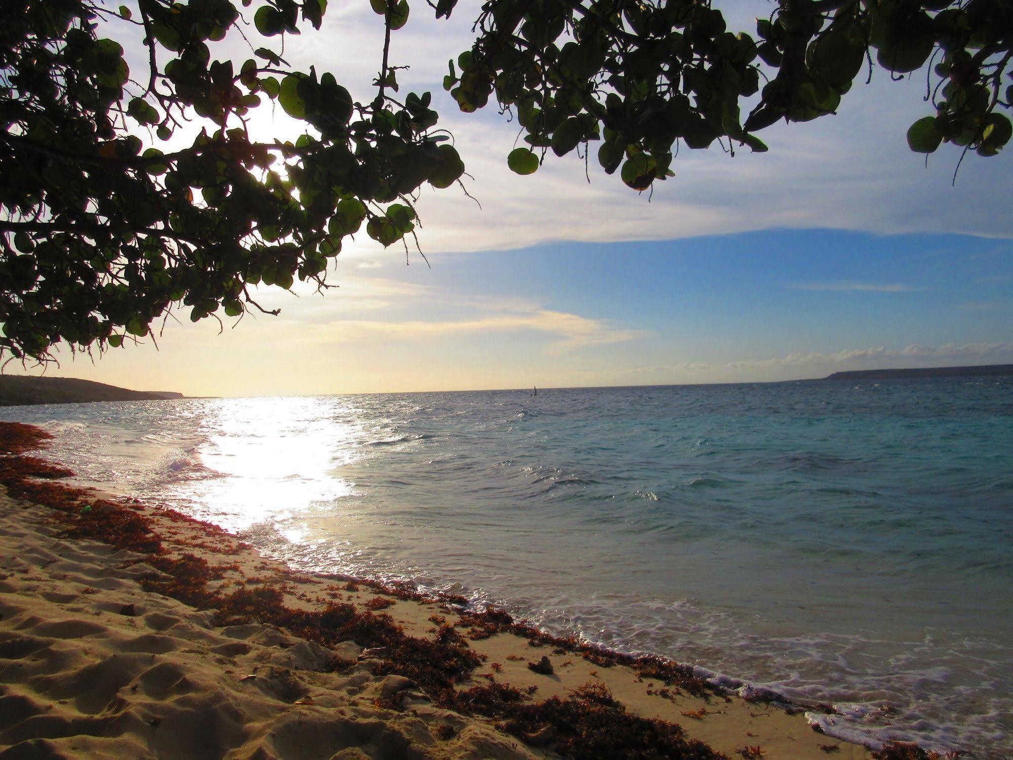 Boukan Guinguette Hotel Mole-Saint-Nicolas ภายนอก รูปภาพ